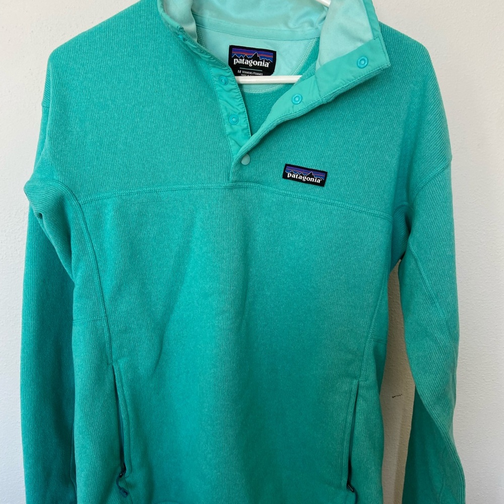 Patagonia blue sweatshirt